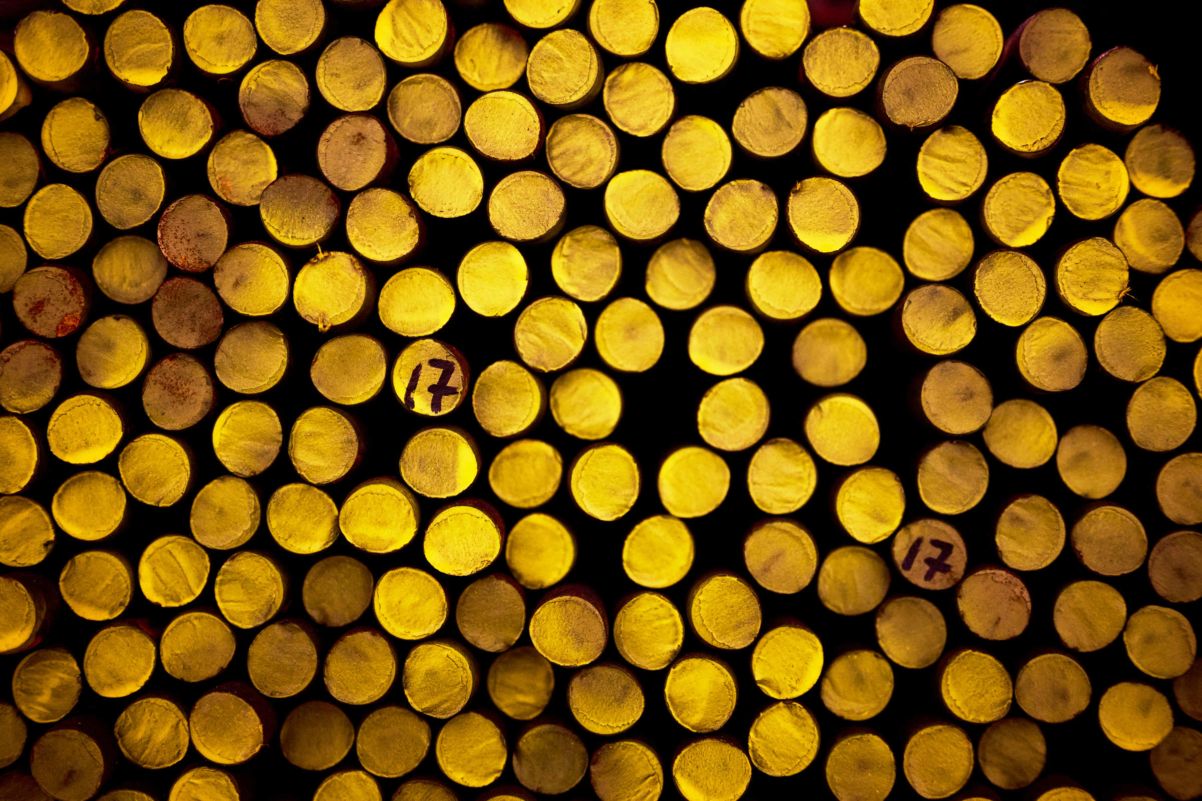 Direkte Ansprechpartner